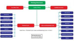 Pricing Structures and Customer Support: Making an Informed Choice